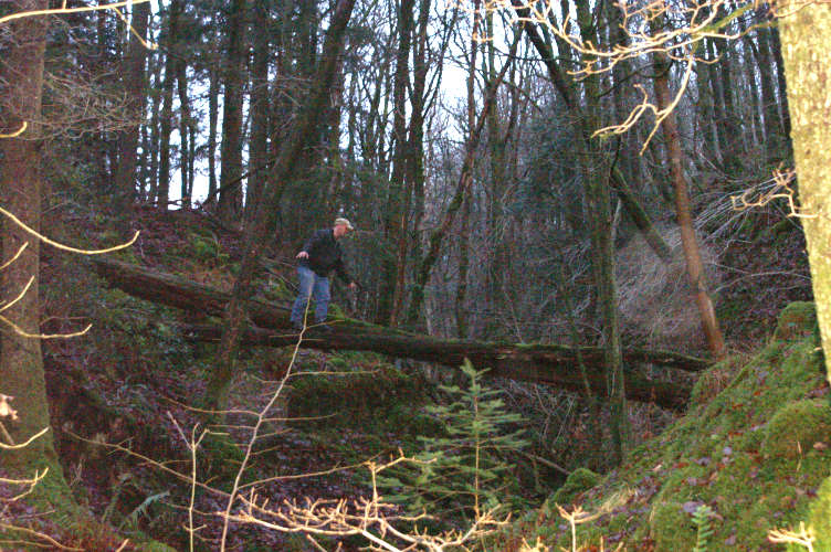 Rick, crossing the ravine Rick, crossing the ravine
