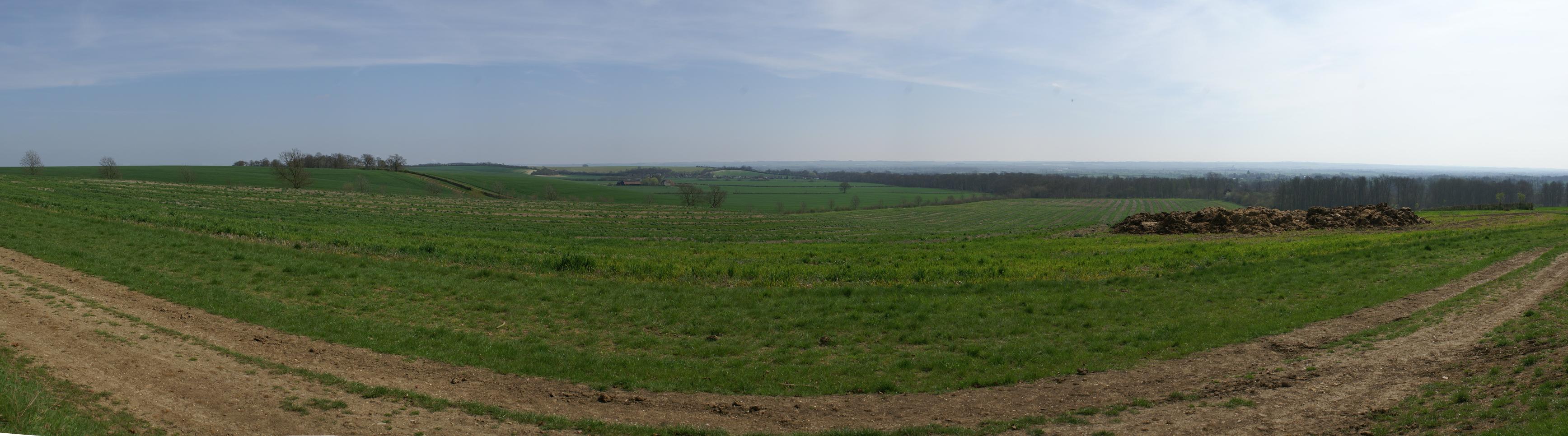 View over a field