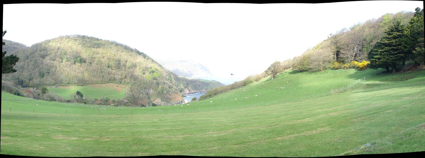 Field in front of Lee Abbey