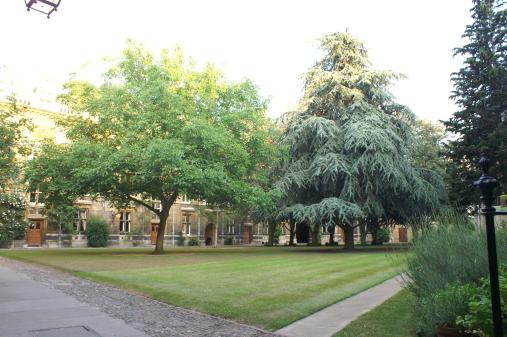 Tree Court, Gonville & Caius College
